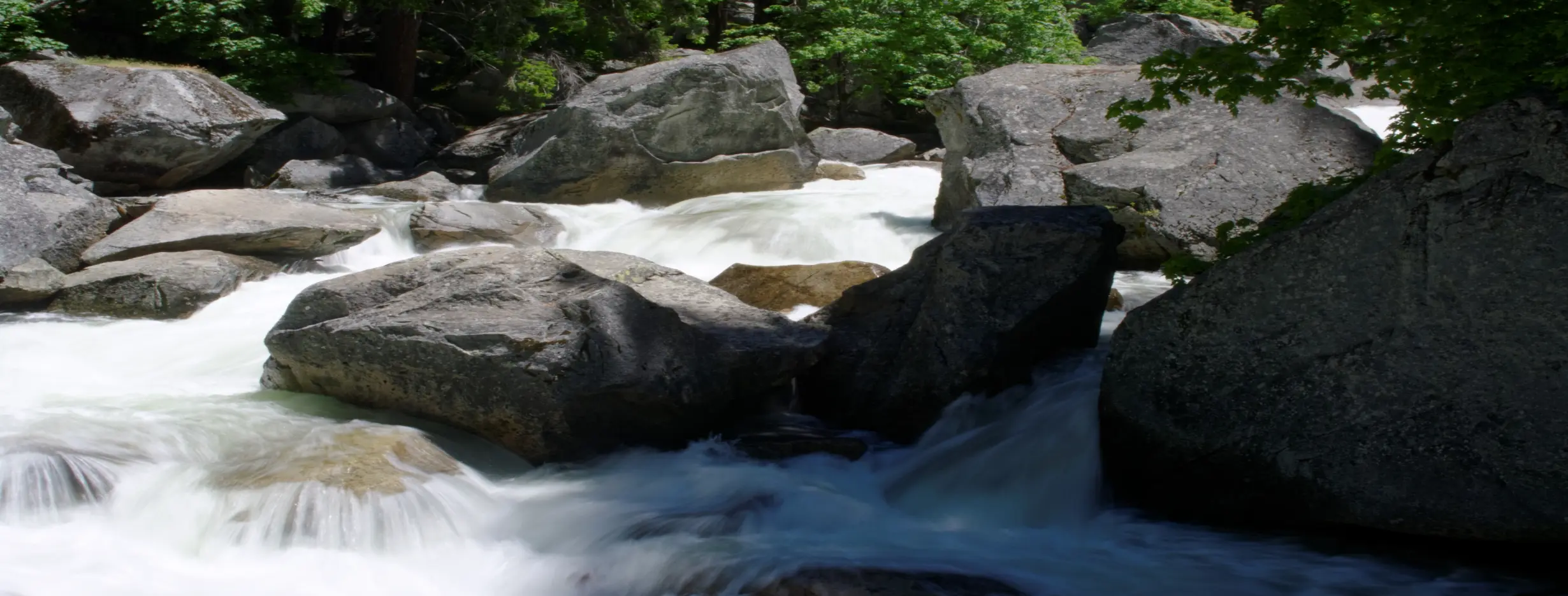 Image for John Muir Park